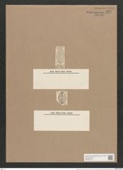 Navicula lyra var. australica A.Schum. (de-Toni-Nr.: Genus 1, Species 327) Zeichnungen Sammlung Grunow Nr. 737 (NHMW-BOT-W0367125)